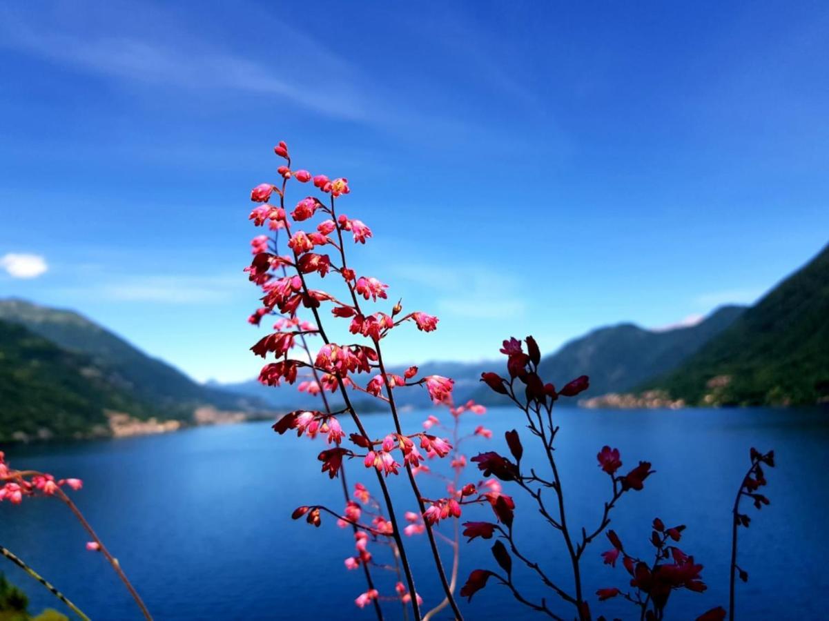 דירות ארגגנו La Rondinella - Loft With Fantastic View On Lake Como מראה חיצוני תמונה
